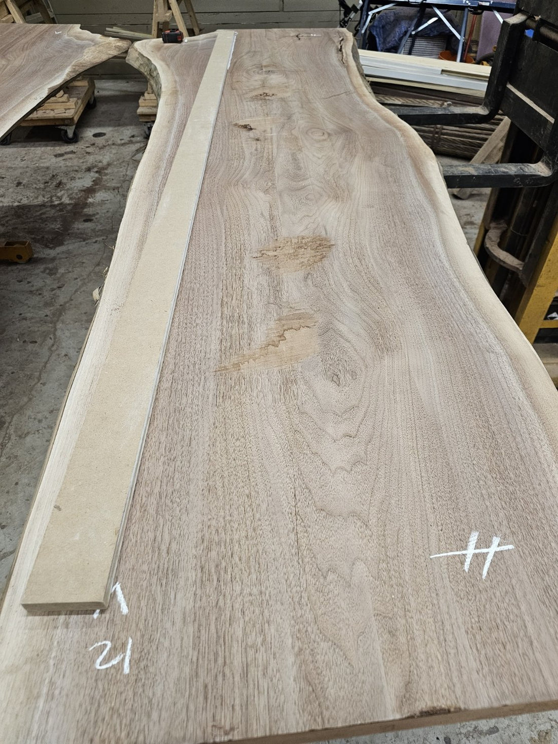 Partly surfaced Ontario walnut slab with layout marks and a straightedge, presented for material review.